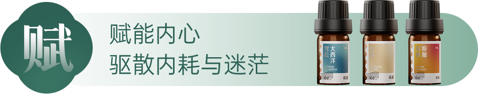 组 4 拷贝 3.png 组 4 拷贝 3.png