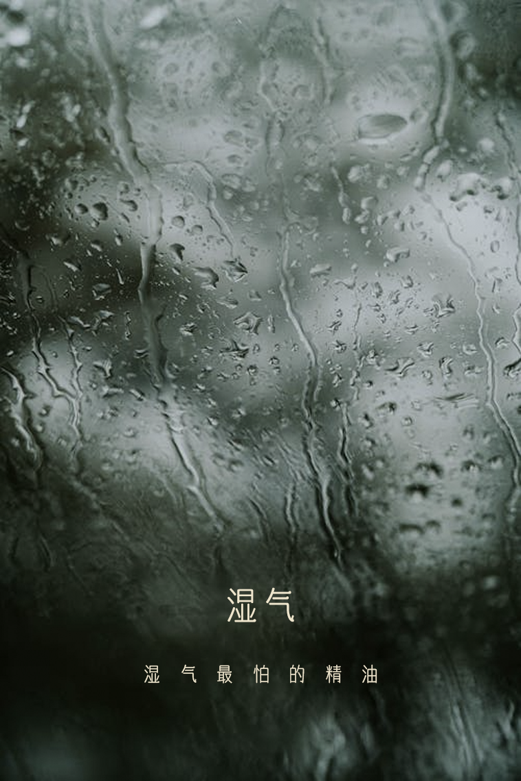 组 1.png