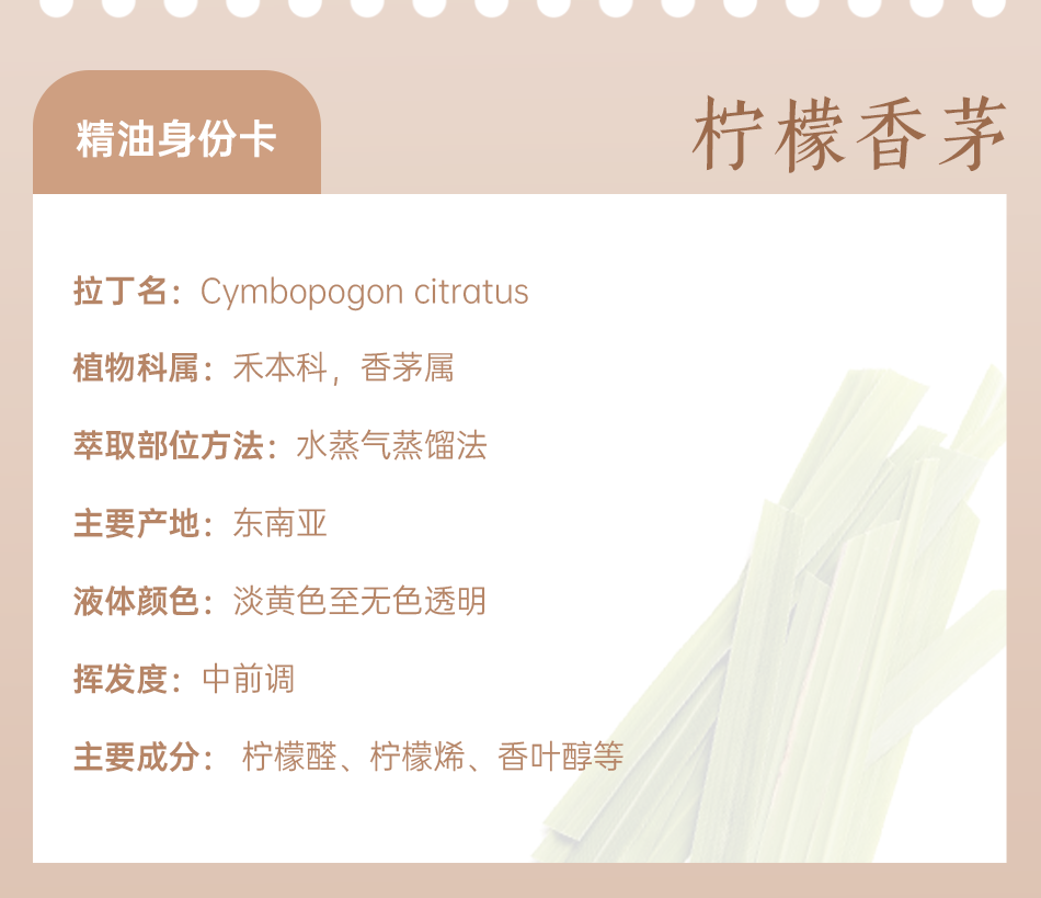组 8.png