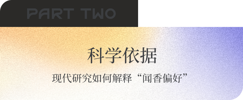 组 4 拷贝.png 组 4 拷贝.png