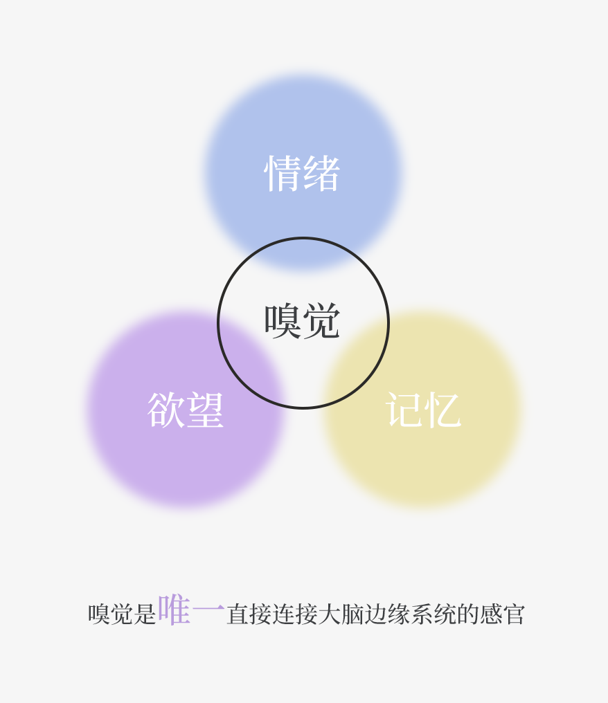 组 3 拷贝 2.png 组 3 拷贝 2.png