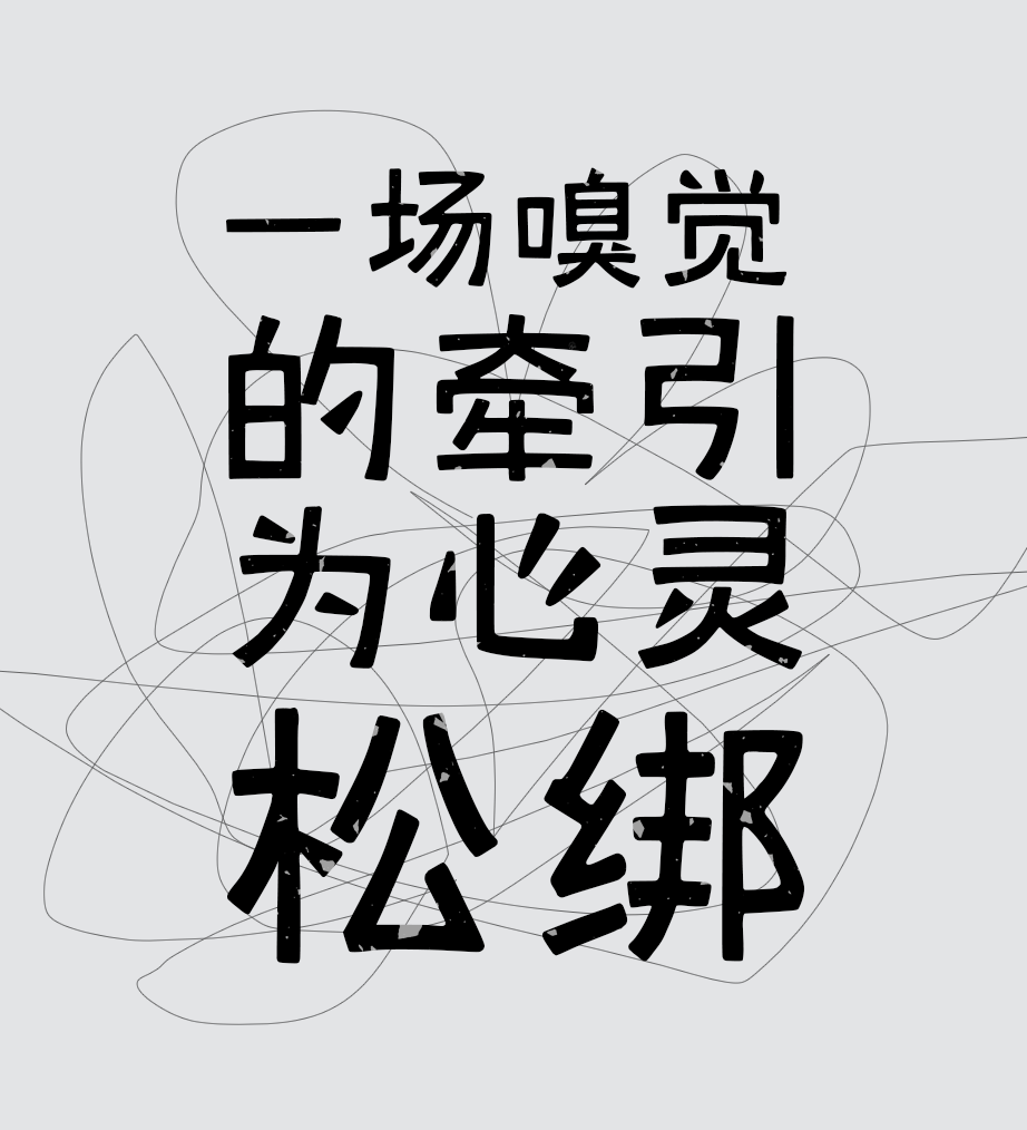 组 2 拷贝 2.png