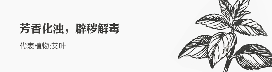 艾叶.png 艾叶.png