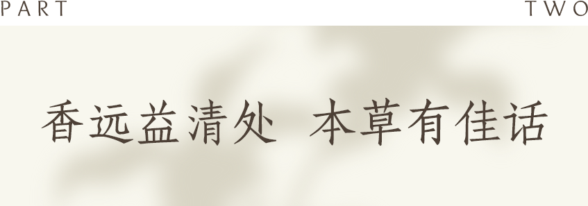 组 13 拷贝.png 组 13 拷贝.png