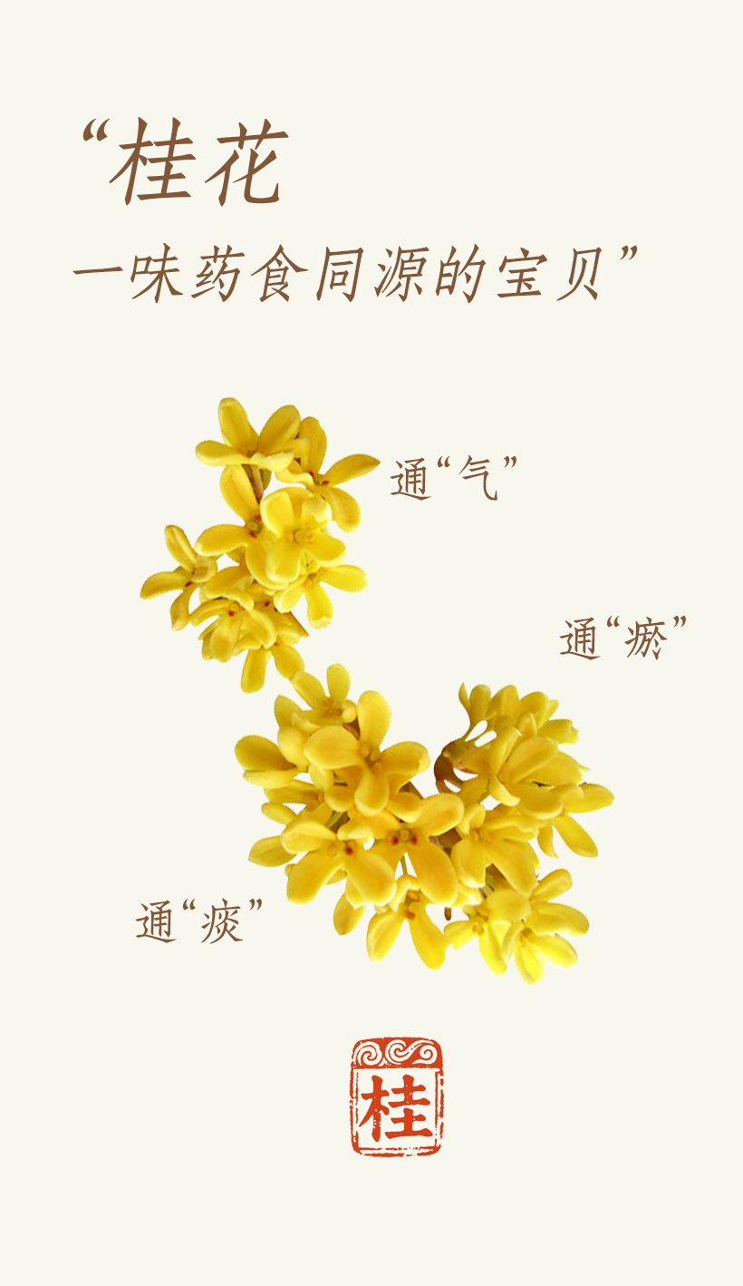 组 10 拷贝.png 组 10 拷贝.png