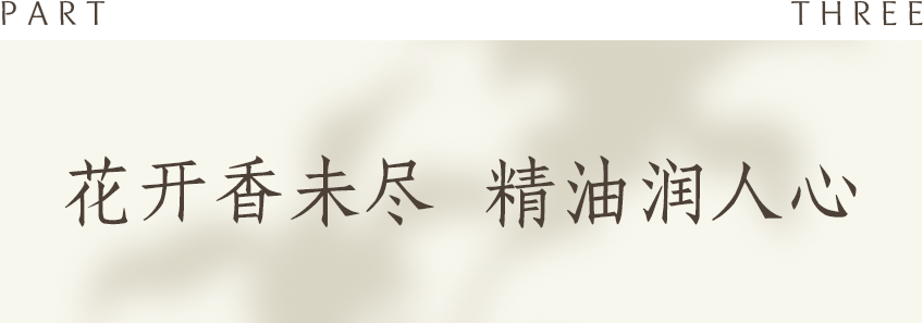 组 13 拷贝 2.png 组 13 拷贝 2.png