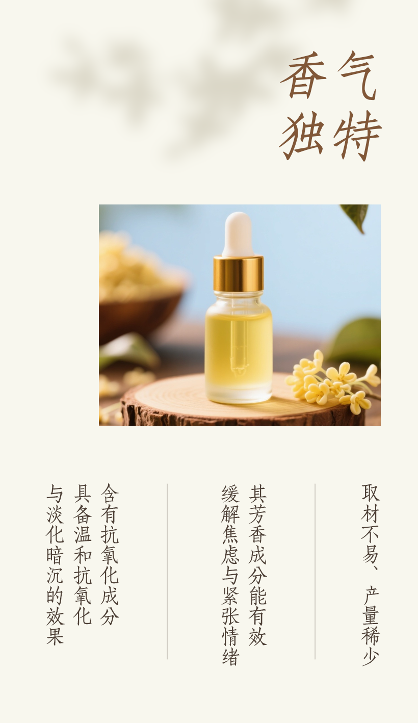 组 10 拷贝 2.png 组 10 拷贝 2.png