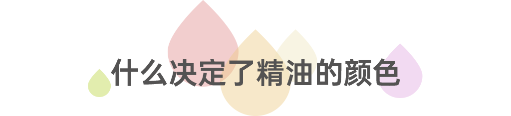 组 15.png 组 15.png