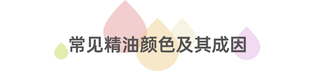 组 15 拷贝.png 组 15 拷贝.png