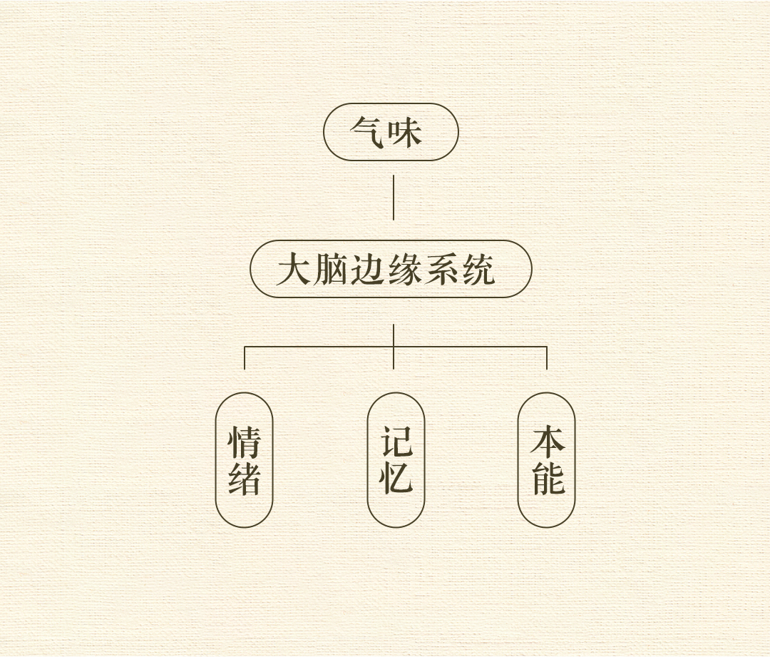 组 3 拷贝.png