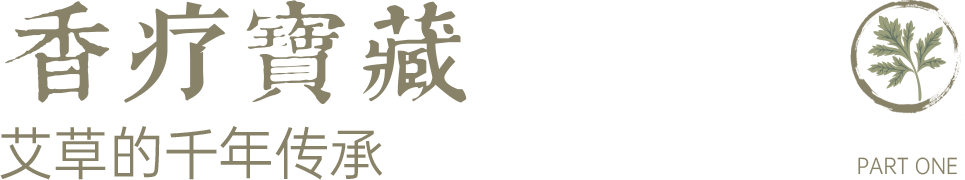 组 12.png 组 12.png