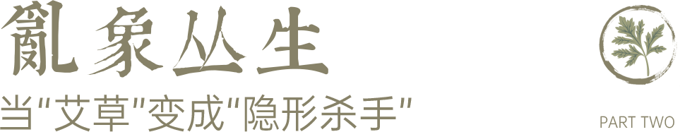 组 12 拷贝.png 组 12 拷贝.png