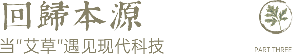 组 12 拷贝 2.png 组 12 拷贝 2.png