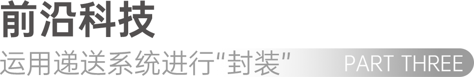 组 7 拷贝 2.png