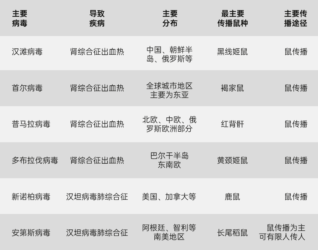 组 2.png