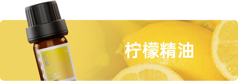 组 12 拷贝 2.png