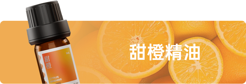 组 12 拷贝 5.png