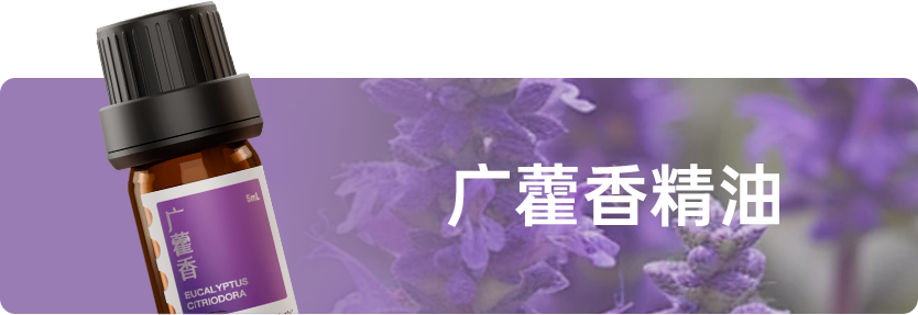 组 12 拷贝 4.png