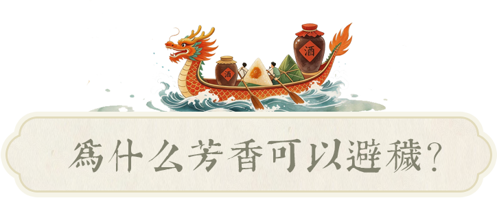 组 4 拷贝.png