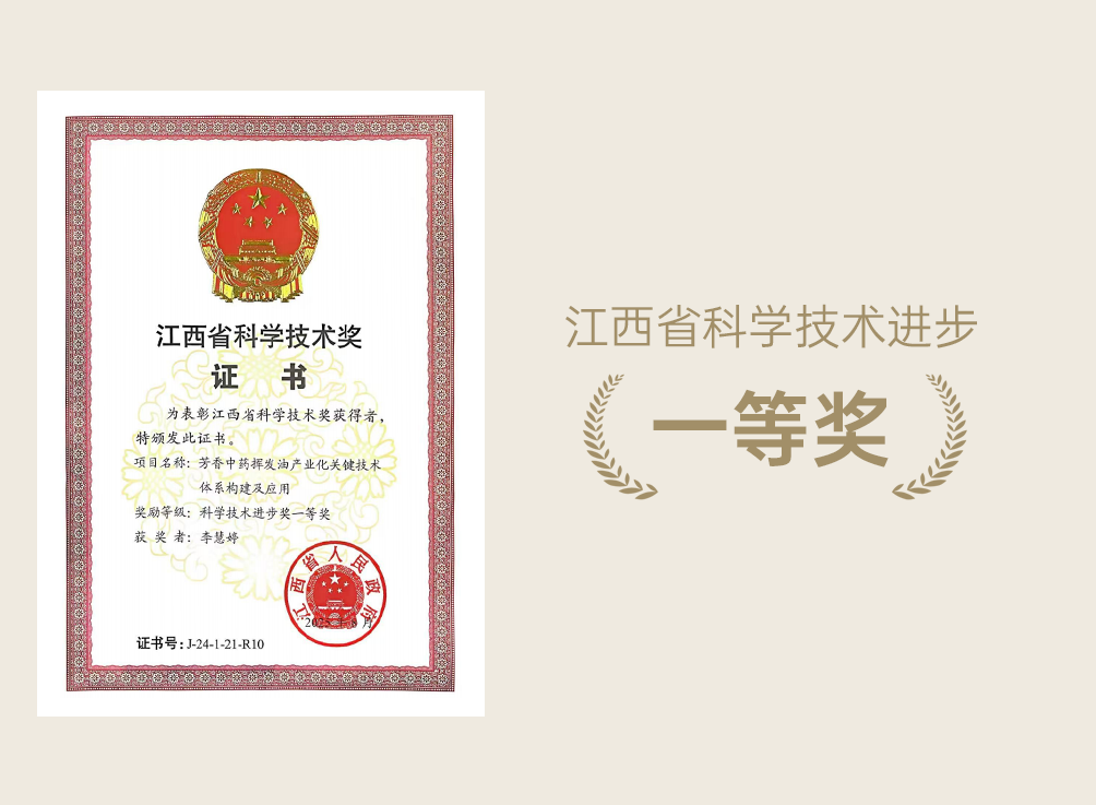 组 9.png