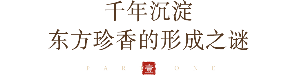 组 6.png
